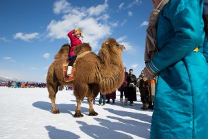 A Mongolian woman sits atop a camel at the Lake Khovsgol Ice Festival in Khatgal, Mongolia, on March 3, 2017.