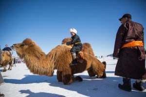 A Mongolian woman rides a camel at the Lake Khovsgol Ice Festival in Khatgal, Mongolia, on March 4, 2017.