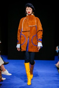 Pantone Top 20 Colors for Fall 2017: COPPER TAN, OSMAN