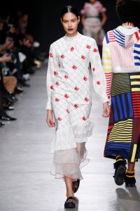 Rahul Mishra RTW Fall 2017