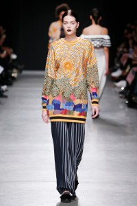 Rahul Mishra RTW Fall 2017