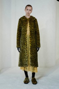 Pantone Top 20 Colors for Fall 2017: GOLDEN OLIVE, SHRIMPS
