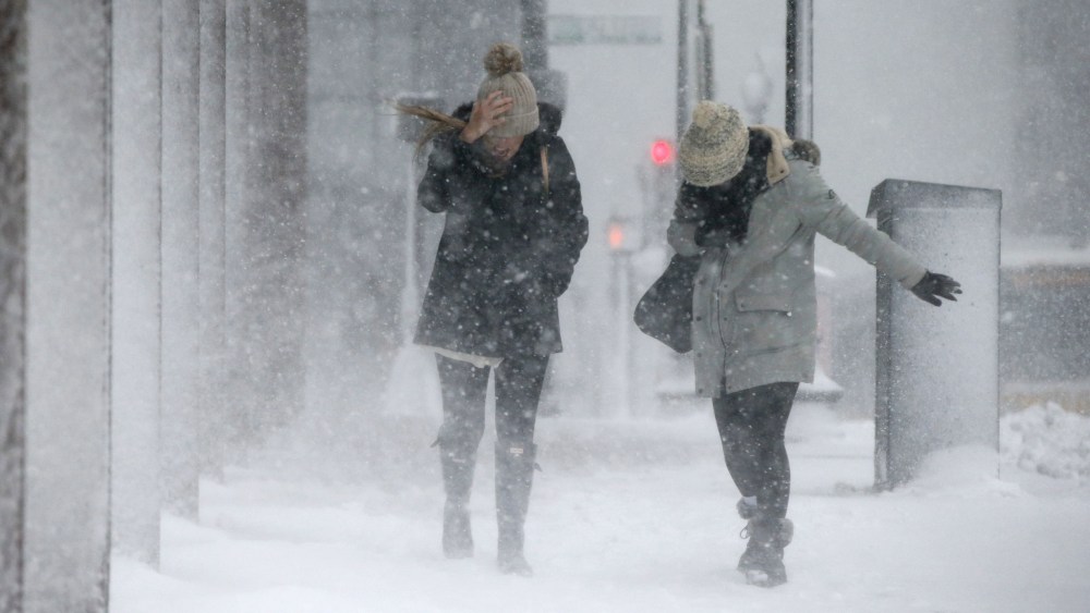 stella storm boston