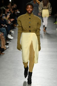 Veronique Leroy RTW Fall 2017