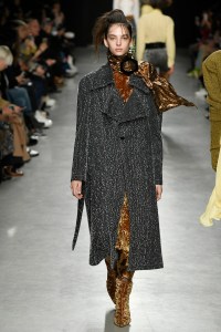 Veronique Leroy RTW Fall 2017