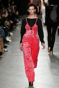 Veronique Leroy RTW Fall 2017