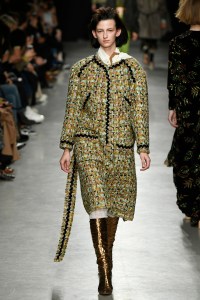 Veronique Leroy RTW Fall 2017