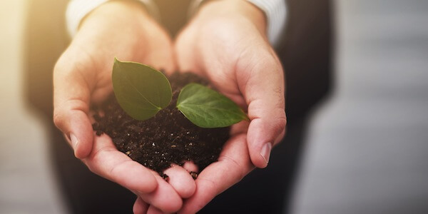 Promoting Sustainability Could More Than Double Product Sales