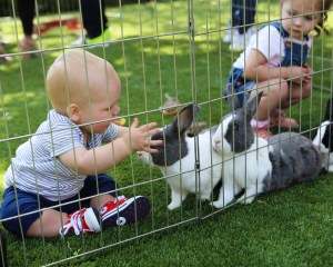 AKID Brand Presents: The Egg Hunt 2017