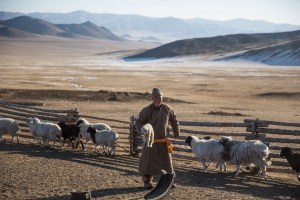 A herder carries a newborn lamb in Murun, Khovsgol Province, Mongolia on March 11, 2017. Photographer: Taylor Weidman