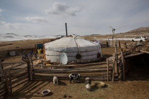 Newborn lambs wear small blankets to protect from the cold in Murun, Khovsgol Province, Mongolia on March 11, 2017. Photographer: Taylor Weidman
