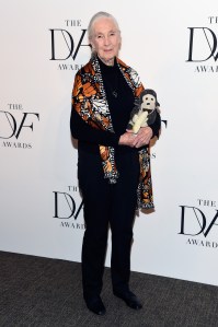 Jane Goodall8th Annual DVF Awards, Arrivals, New York, USA - 06 Apr 2017