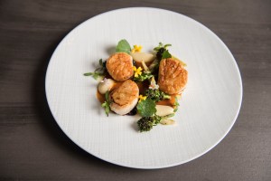 Scallops with wax beans, leek purée, broccolini and black rice.