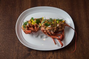 Chilled Maine Lobster
