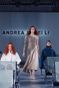Andrea Jiapei Li fall 2017