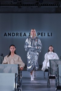 Andrea Jiapei Li fall 2017