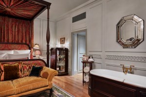 the ned room