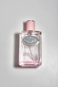 Prada Infusion de Rose