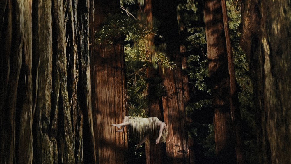 "Woodshock" movie poster