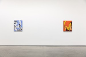 Installation view at David Kordansky Gallery.