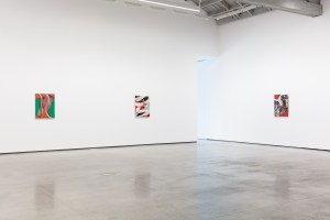 Installation view at David Kordansky Gallery.