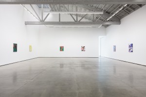 Installation view at David Kordansky Gallery.