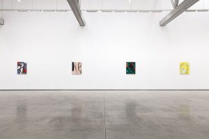 Installation view at David Kordansky Gallery.