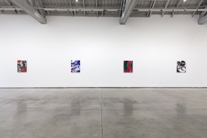 Installation view at David Kordansky Gallery.