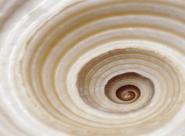 BSI Introduces New Standard Drive More Circular Economy