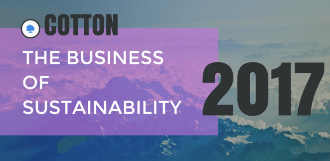 Infographic: What do Consumers Really Think About Sustainability Anyway?