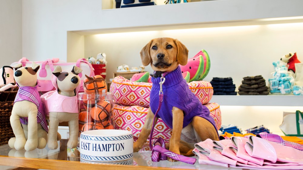 Elie Tahari, Canine Styles Launch East Hampton Pop-up Shop