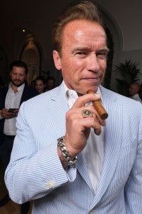 Arnold Schwarzenegger Exclusive photos of the Charles Finch Filmmakers Party at Cannes