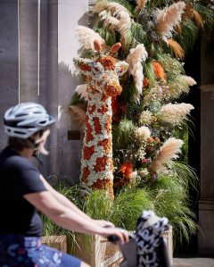 An image from the "Chelsea in Bloom" retail initiative