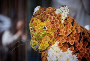 An image from the "Chelsea in Bloom" retail initiative