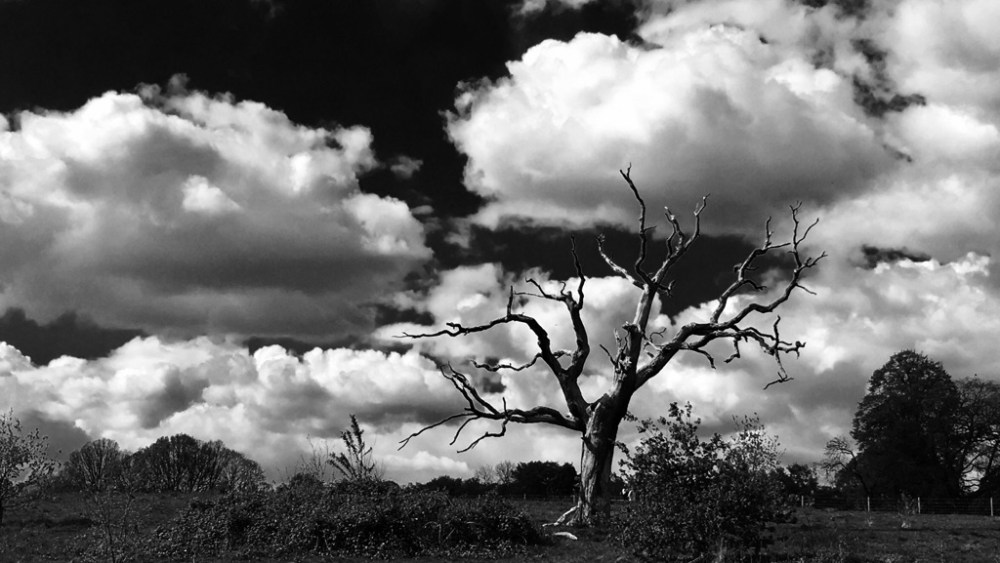 A photograph from E. Tautz's "150" exhibition