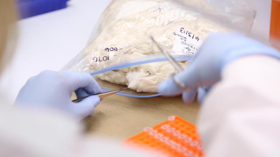 Applied DNA Extends Authentication Technology New Raw Materials