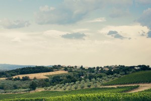 Giovanni Bulgari's wine estate Podernuovo in Palazzone, Italy.