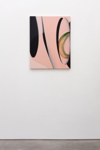 View of the artist's work.