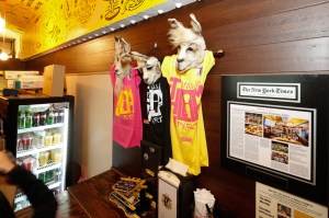 Bolivian Llama Party at Turnstyle.