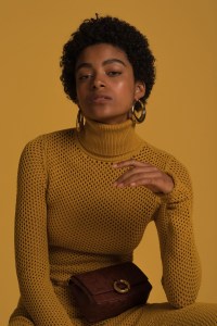A.L.C. Resort 2018