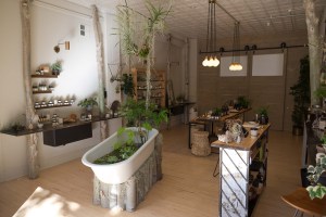 Fig + Yarrow Apothecary in Denver.