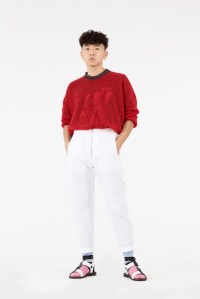 Cédric Charlier Spring 2018