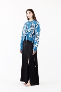 Cédric Charlier Spring 2018