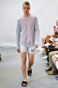 Lucien Pellat Finet Spring 2018