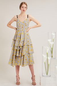 Novis Resort 2018