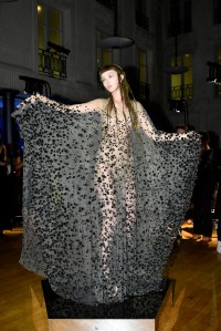 A model performing