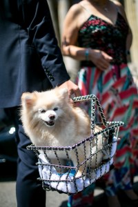 Street style at Paris Couture Week Fall 2017