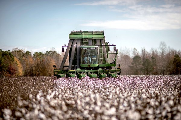 Politicians Join Cotton Growers Urging Trump Renew Cost Share Program