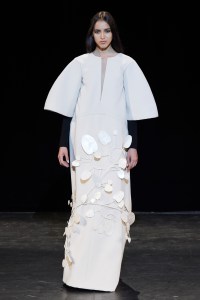 Stéphane Rolland Couture Fall 2017