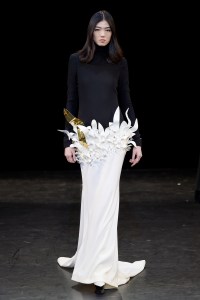 Stéphane Rolland Couture Fall 2017
